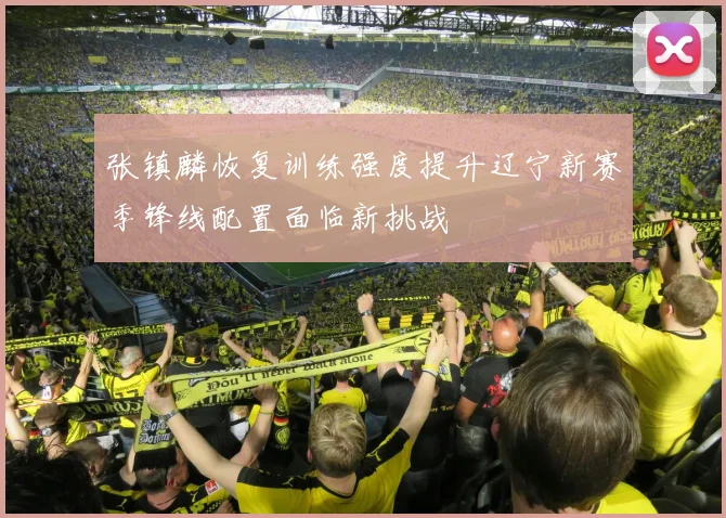 张镇麟恢复训练强度提升辽宁新赛季锋线配置面临新挑战