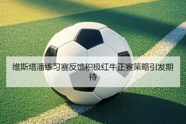 维斯塔潘练习赛反馈积极红牛正赛策略引发期待