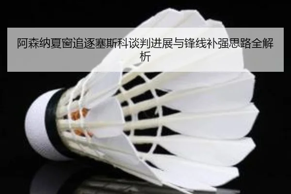阿森纳夏窗追逐塞斯科谈判进展与锋线补强思路全解析