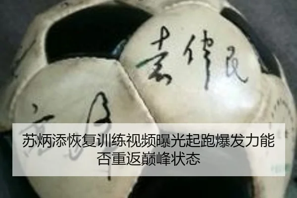 苏炳添恢复训练视频曝光起跑爆发力能否重返巅峰状态
